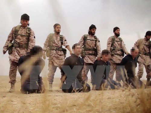 IS ermodet duzende Menschen im Irak - ảnh 1