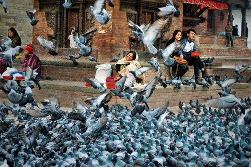 Ho Chi Minh Stadt: Ausstellung “Nach Nepal richten” - ảnh 1