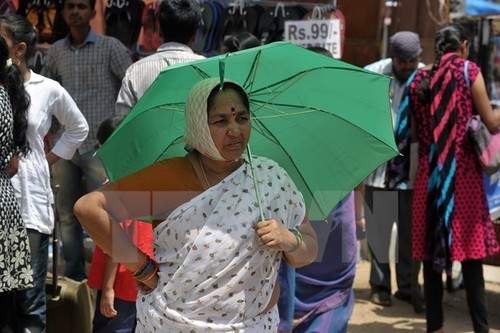 Indien: Die Anzahl der Todesopfer wegen Hitze ist weiterhin gestiegen - ảnh 1