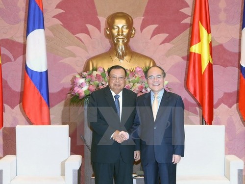 Vietnam und Laos wollen die Sonderbeziehungen fortführen - ảnh 1