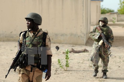 Nigeria nimmt einige wichtige Kämpfer von Boko Haram fest - ảnh 1