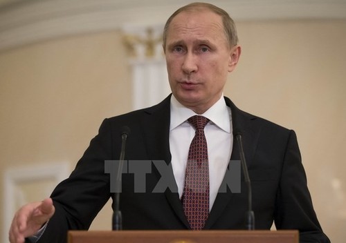Präsident Putin: Russland wird keine Bodentruppen in Syrien einsetzen  - ảnh 1