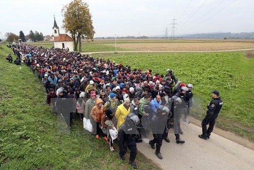 Europa strengt sich bei der Lösung der Flüchtlingskrise an - ảnh 1