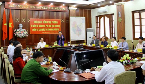Vize-Parlamentspräsidentin Tong Thi Phong besucht die Provinz Thai Nguyen - ảnh 1