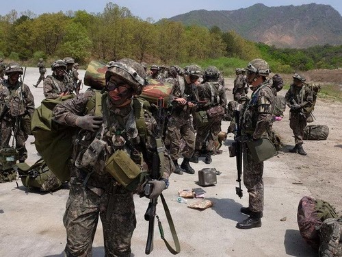 Südkorea: Vorschlag für militärisches Gespräch aus Nordkorea ist nicht aufrichtig - ảnh 1