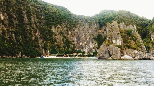 Die romantische Schönheit der Lan Ha-Bucht auf Cat Ba - ảnh 4