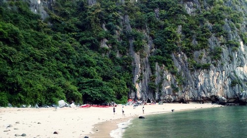 Die romantische Schönheit der Lan Ha-Bucht auf Cat Ba - ảnh 7