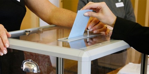 Litauen beginnt mit Parlamentswahl - ảnh 1
