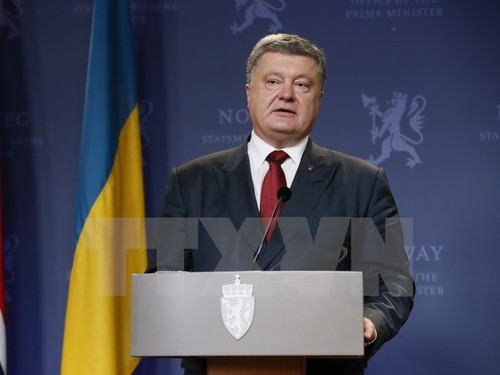 EU will weiterhin das Reform-Programm in der Ukraine finanziell unterstützen - ảnh 1