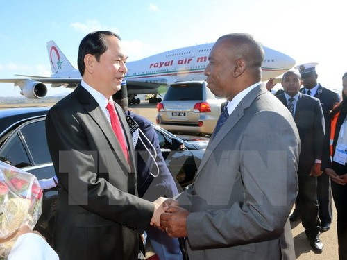Staatspräsident Tran Dai Quang wird an der Frankophonie-Konferenz in Madagaskar teilnehmen - ảnh 1
