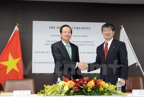 Das Arbeitsministerium treibt Zusammenarbeit im Arbeitsbereich mit Japan voran - ảnh 1