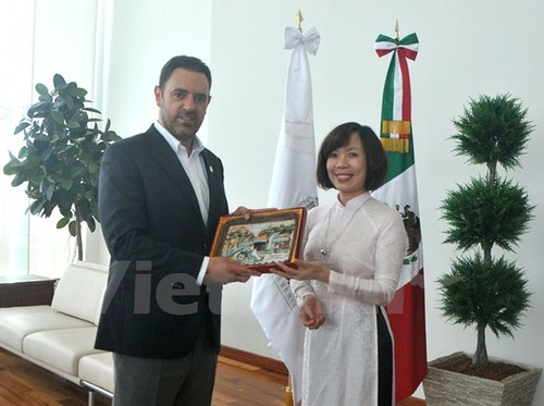 Mexikanischer Bundesstaat Zacatecas will die Kooperation mit Vietnam verstärken - ảnh 1