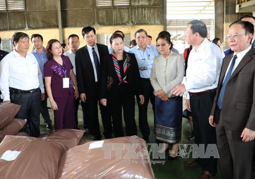 Die Parlamentspräsidentinnen von Vietnam und Laos besuchen die historische Gedenkstätte in Son La - ảnh 1