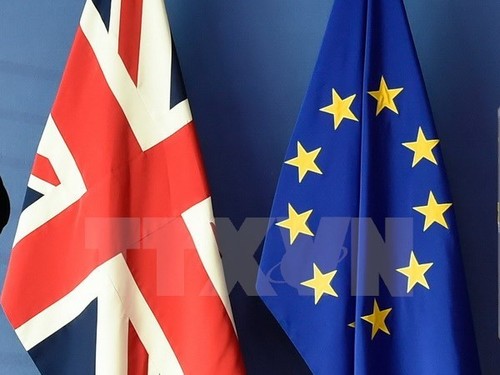 EU-Staaten diskutieren erstmals über die Beziehungen zu Großbritannien nach Brexit - ảnh 1