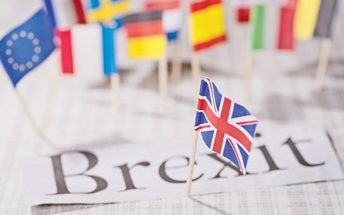 EU ist bereit, mit Großbritannien ein ehrgeiziges Handelsabkommen abzuschließen - ảnh 1