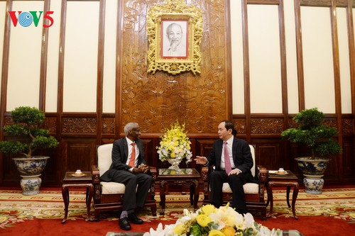 Staatspräsident Tran Dai Quang empfängt die neuen Botschafter - ảnh 1