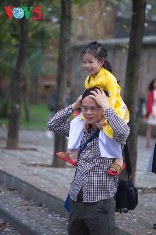 Die Schönheit der Bauhinien in Hanoi - ảnh 7