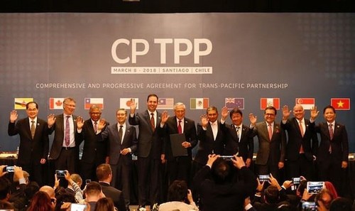 Vietnamesische Unternehmen verhalten sich aktiv für das CPTPP-Abkommen - ảnh 1