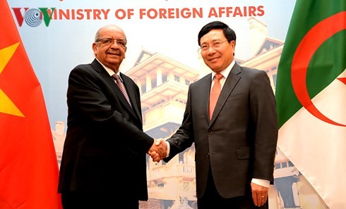 Verstärkung der Beziehungen zwischen Vietnam und Algerien - ảnh 1