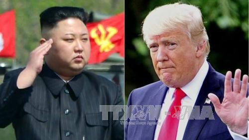 US-Präsident bekräftigt die gute Beziehung zum Staatschef Nordkoreas - ảnh 1
