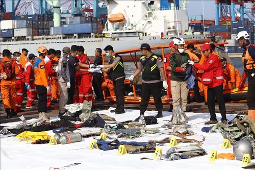 Indonesien: Die Kampagne zur Suche der Opfer des Flugabsturzes dauert 7 Tage - ảnh 1