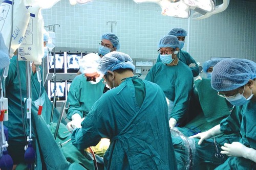 Fortschritte bei Transplantation in Vietnam - ảnh 1
