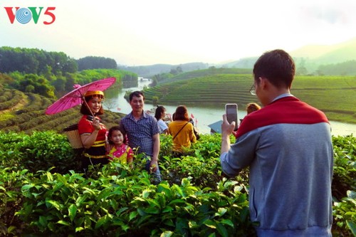 Tee-Insel Thanh Chuong zieht zum Tet-fest Touristen an - ảnh 12