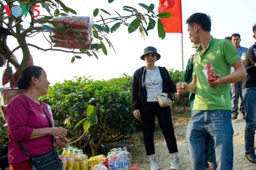 Tee-Insel Thanh Chuong zieht zum Tet-fest Touristen an - ảnh 13
