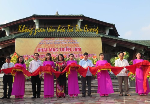 Eröffnung der Ausstellung über neue archäologische Funde in Thai Nguyen - ảnh 1