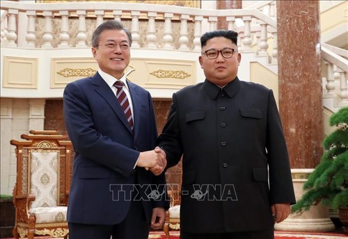 Südkoreas Präsident will Treffen mit Nordkoreas Staatschef vor dem Gespräch mit US-Präsidenten  - ảnh 1