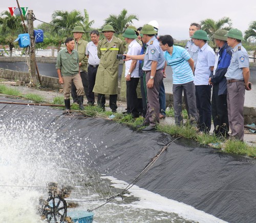 Vize-Landwirtschaftsminister Phung Duc Tien überprüft die landwirtschaftliche Produktion in Hai Phong - ảnh 1