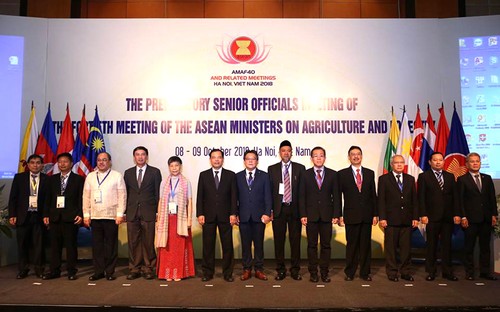 Die Konferenz der hochrangigen Beamte der ASEAN-Länder über Land- und Forstwirtschaft - ảnh 1