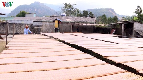Das Dorf für Herstellung von Glasnudeln Binh Lu – Effektives Handwerkerdorf im Nordwesten - ảnh 1