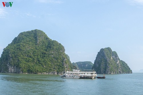 US-Magazin Insider stellt Ha Long-Bucht in Vietnam vor - ảnh 1