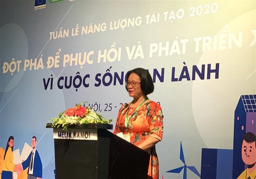Die vietnamesische Woche der erneuerbaren Energien 2020 fördert die Entwicklung - ảnh 1