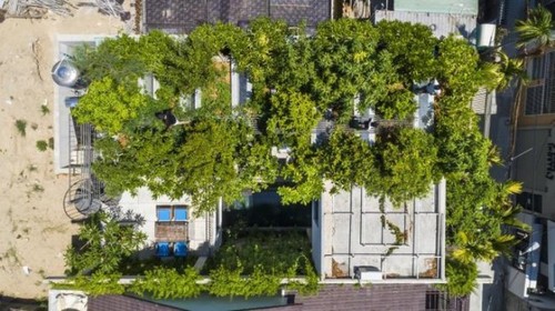 Zwei vietnamesische Einrichtungen gewinnen den Preis für grüne Architektur in Asien - ảnh 1