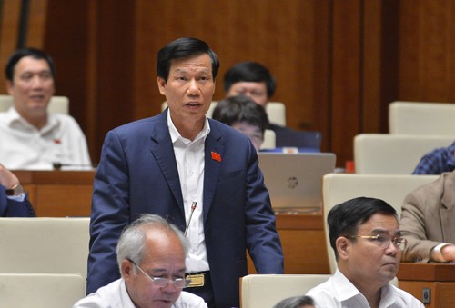 Der Minister für Kultur, Sport und Tourismus stellt sich Fragen des Parlaments - ảnh 1