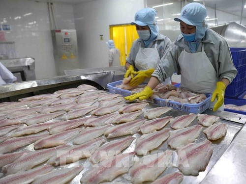 Prognose für das positive Wachstum der Fischerei-Branche im Jahr 2021 - ảnh 1