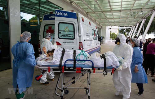 Covid-19-Pandemie kostet das Leben von mehr als 2,5 Millionen Menschen weltweit - ảnh 1