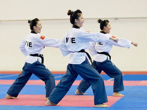 Taekwondo Vietnams ändert Termin einiger Turniere - ảnh 1