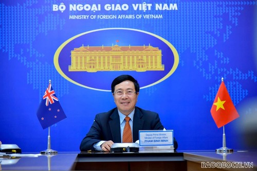 Verstärkung der Rolle des Außenministeriums bei Förderung der Zusammenarbeit zwischen Vietnam und Neuseeland - ảnh 1