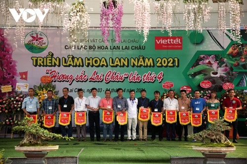 Mehr als 1000 Orchideen-Töpfer werden in der Ausstellung in Lai Chau präsentiert - ảnh 1