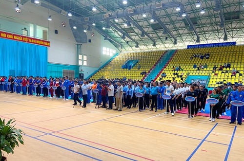 Mehr als 300 Sportler beteiligen sich an Landeswettkämpfe für Vovinam-Mannschaften - ảnh 1