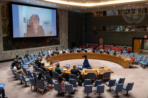 UN-Sicherheitsrat bewertet die Arbeit 15 Monate nach dem Ausbruch der Covid-19-Pandemie - ảnh 1