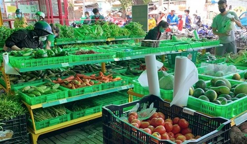 Gewährleistung der Lieferung lebensnotwendiger Waren für Provinzen im Süden - ảnh 1