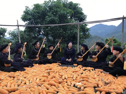 Der Klub Sac Cham verbreitet die Then-Melodien aus dem Dorf - ảnh 2
