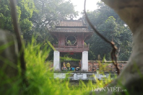 Google Destination Insights stellt die Top 10 der Reiseziele in Vietnam vor - ảnh 12