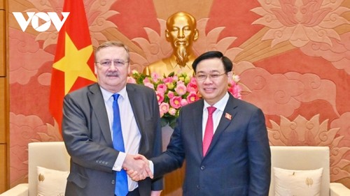 Parlamentspräsident Vuong Dinh Hue empfängt den ungarischen Botschafter - ảnh 1