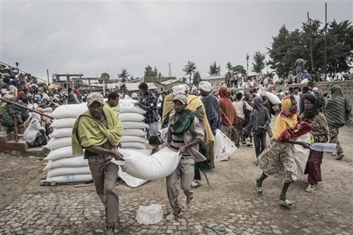 EU sucht Lösung für die Nahrungsmittelkrise in Afrika - ảnh 1