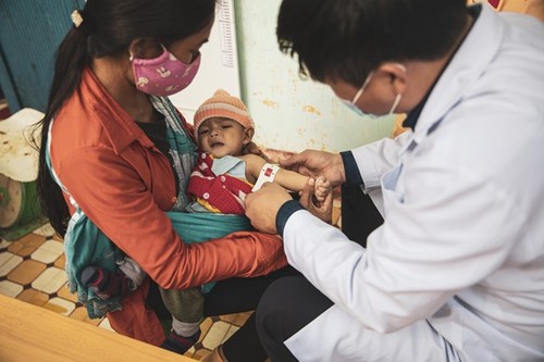 Vietnam will schwere akute Mangelernährung der Kinder lösen - ảnh 1